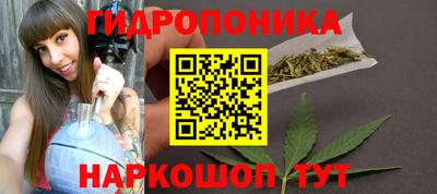 дурь Будённовск